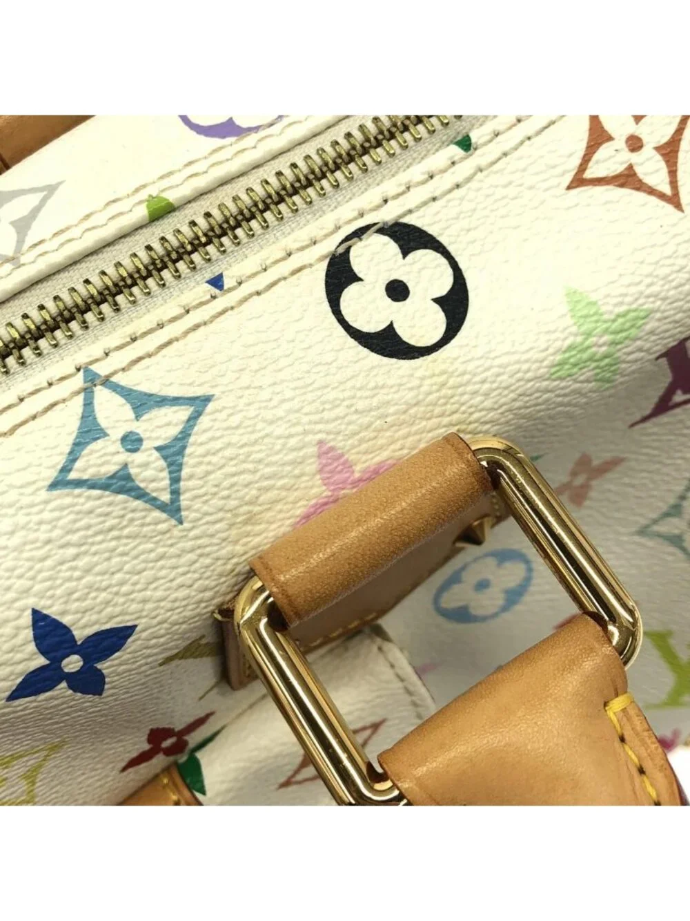 Louis Vuitton Multicolor Speedy 30 Boston